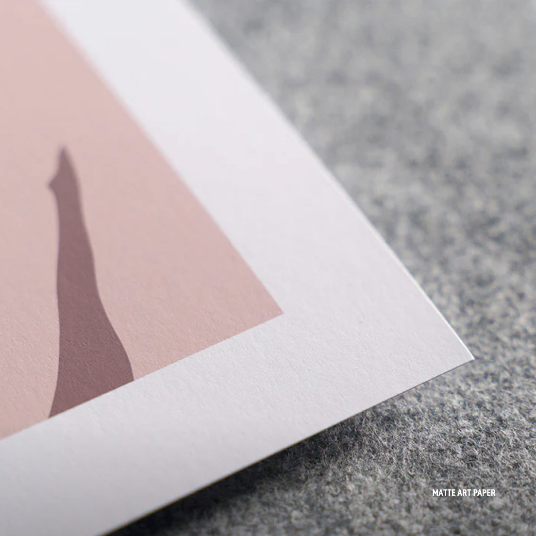 The Curiously Common Toad-Fish