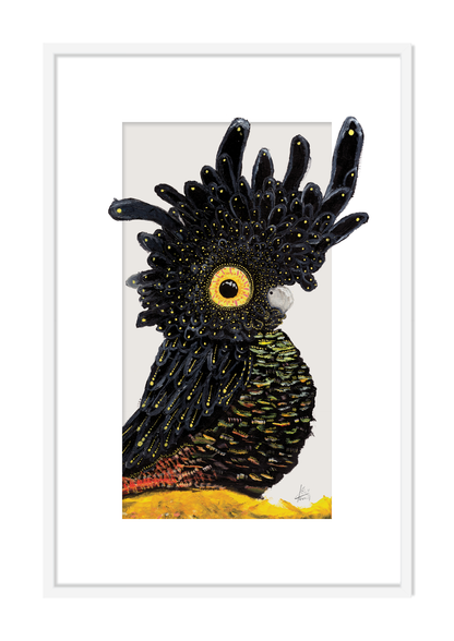 Mr Black Cocky