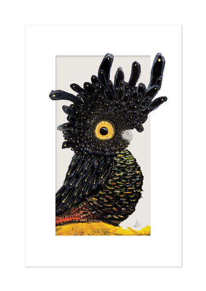Mr Black Cocky