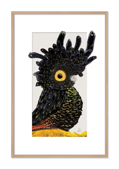 Mr Black Cocky