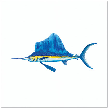 Blue Lightning. Meet the Blue Marlin.