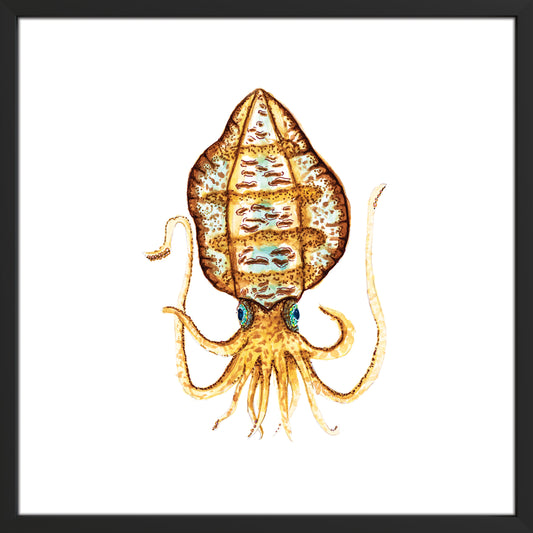 Just Call Me Camo. The Squid.