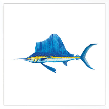 Blue Lightning. Meet the Blue Marlin.