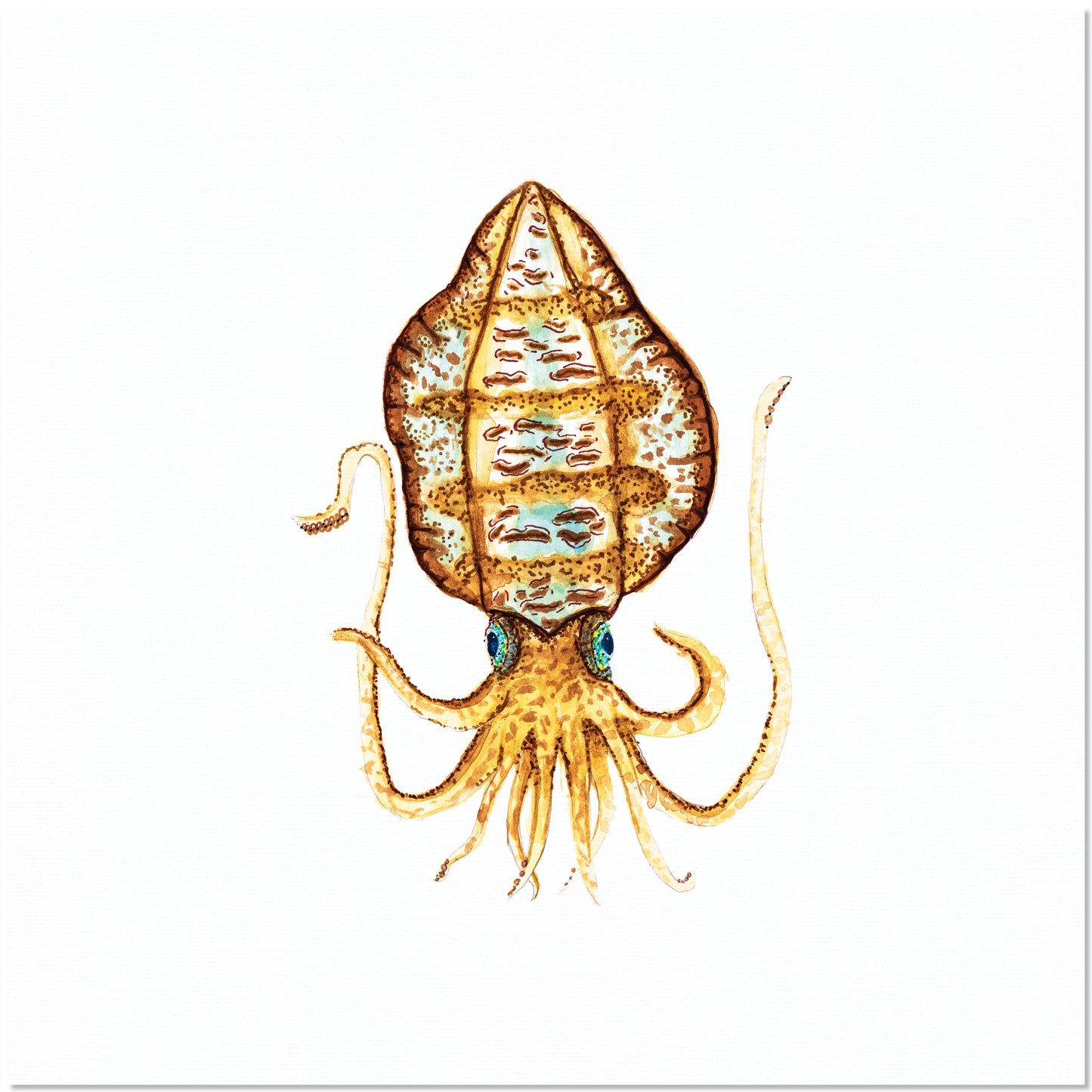 Just Call Me Camo. The Squid.