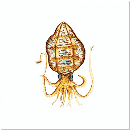 Just Call Me Camo. The Squid.