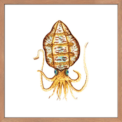 Just Call Me Camo. The Squid.