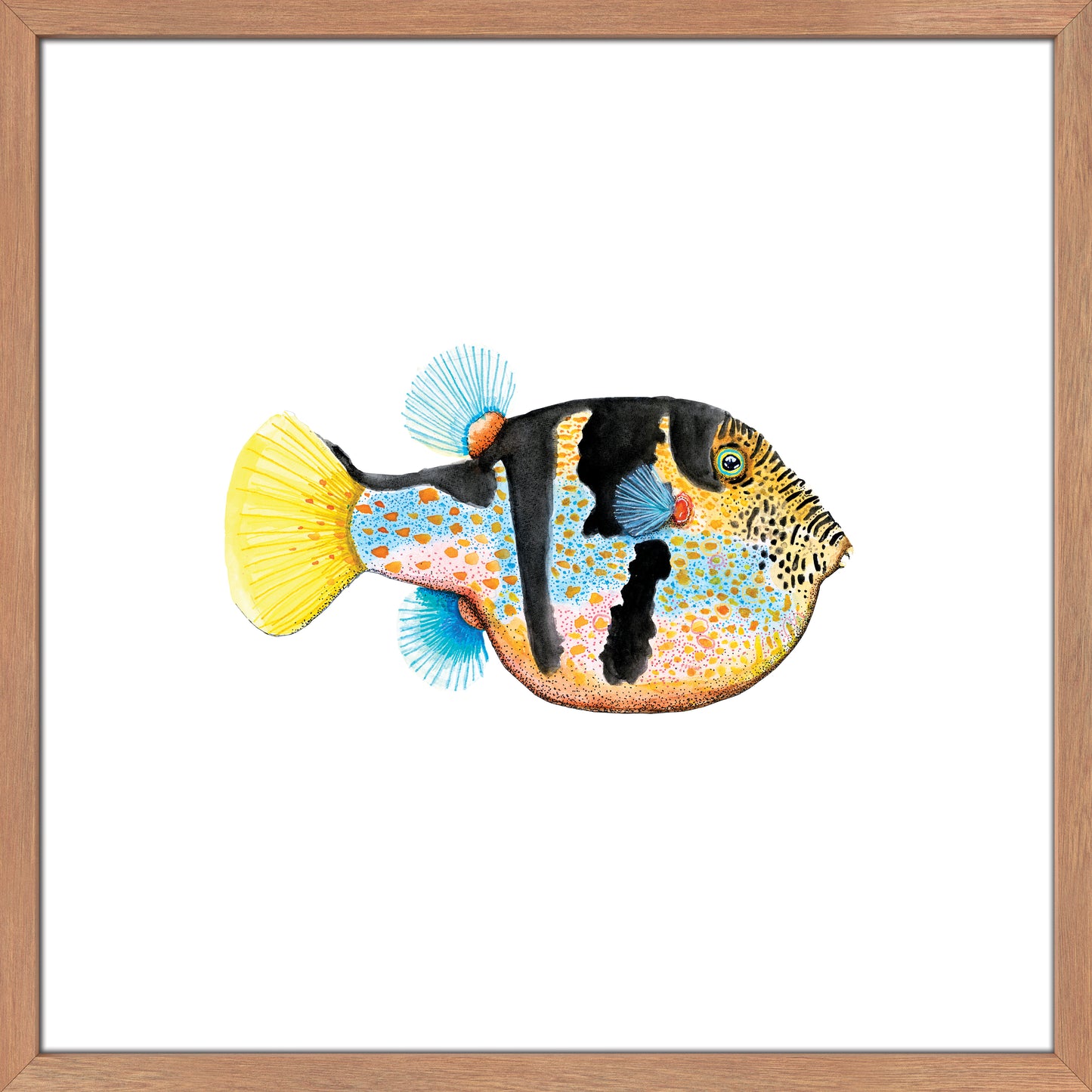 Borris. The Valentini Pufferfish.