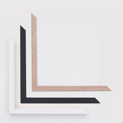 The Single Rough-Leaf Sugar-Bush